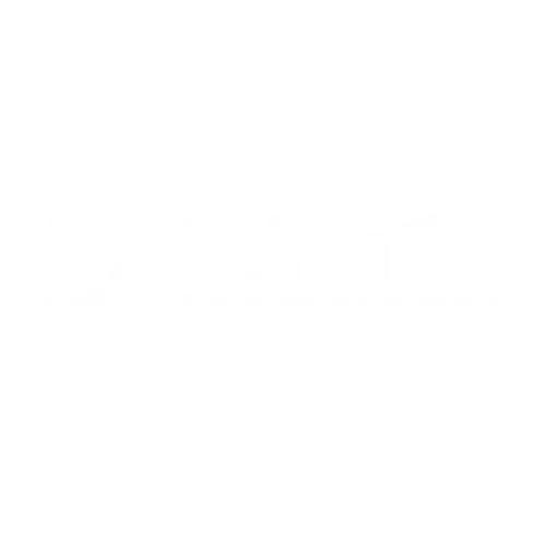 D-Link Logo Icon