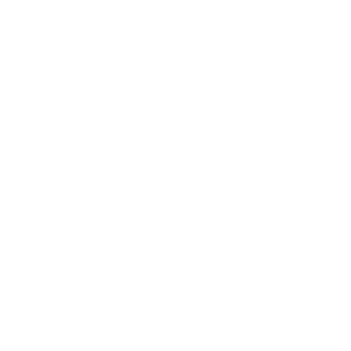 NetRoadShow Logo Icon